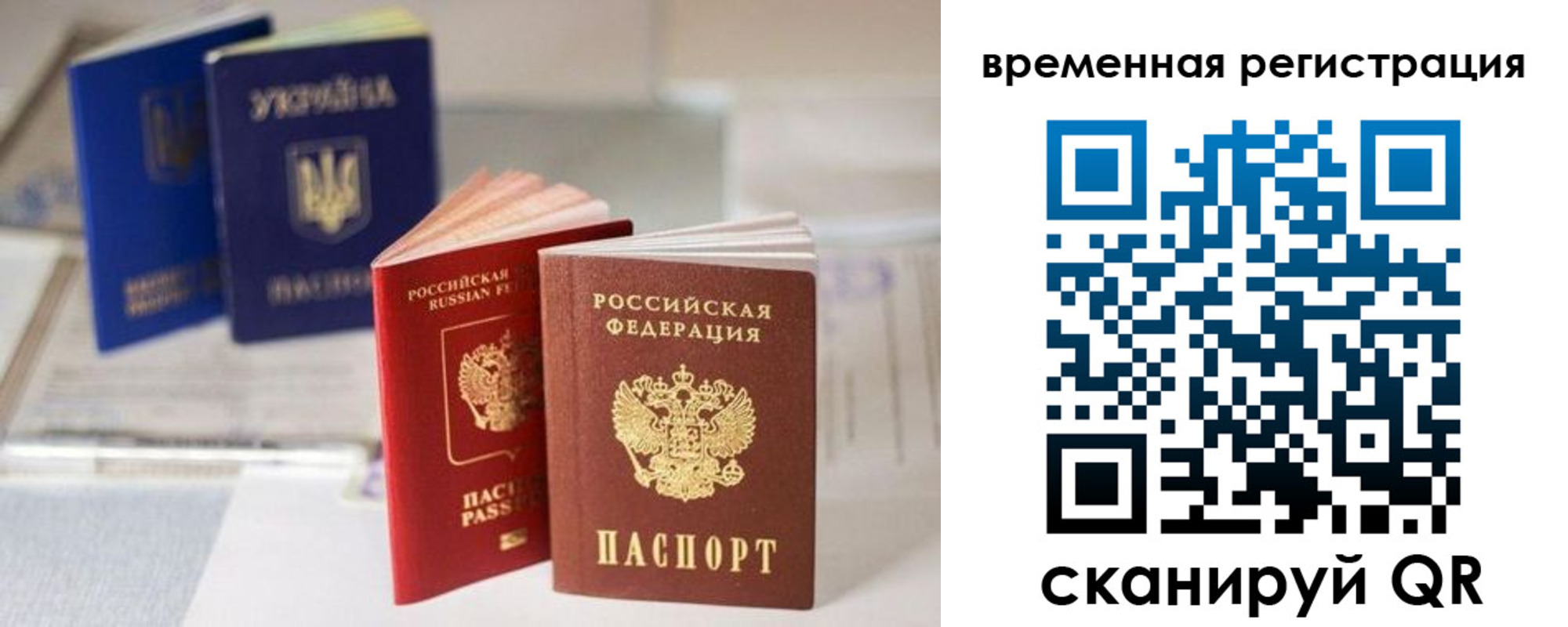 прописка поиск в Ельце